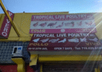 Tropical-Live-Poultry