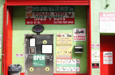 Astoria-Live-Halal-Poultry