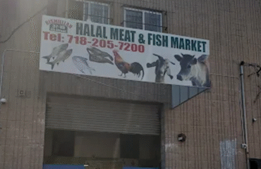 Bismillah-Live-Poultry