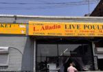 L.-Alladin-Live-Poultry-Market