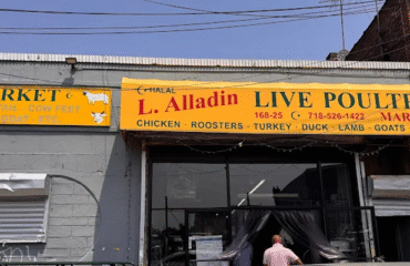 L.-Alladin-Live-Poultry-Market